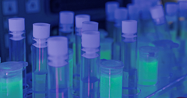 🧪 ¡ADÉNTRATE EN EL LABORATORIO MUTANTE! 🧪